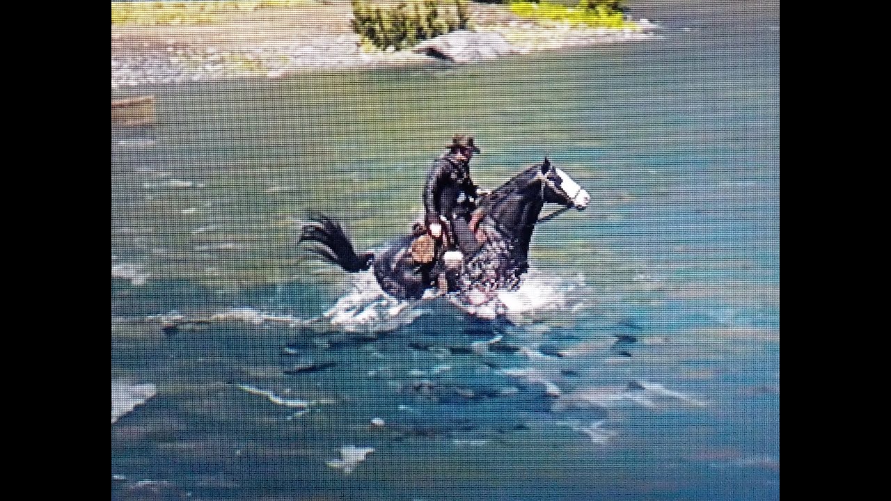 Red Dead Redemption 2 Explorer 8 - 10 Arthur With Baylock - YouTube