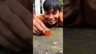 Smile and be Quiet, Strawberry candy to cheer up the millipede until it curls its body #millipede