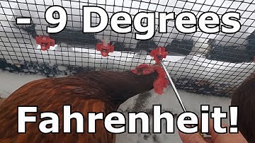 Heated Automatic Watering System! - Quail - Rabbits - Chickens - 3rd Update!
