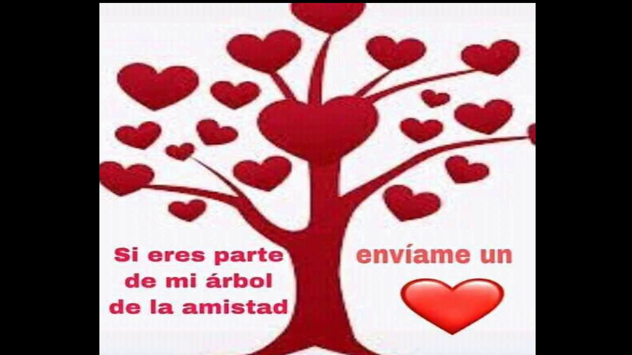 tu eres parte de mi árbol de amistad enviame un corazón amistad meaning