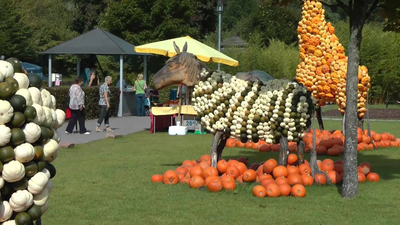 Gartenschau Kaiserslautern YouTube