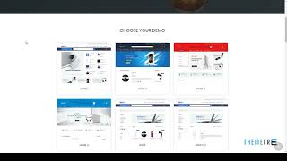 Bigon - Responsive Ecommerce Shopify Theme Ambrose Nuka