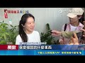 趙建銘越南旅伴身分曝！獄友蔡秉雄是「貪汙案白手套」？ 趙建銘友人不滿陳幸妤「簽保密條款狂爆料」：她就野蠻公主嘛｜三立新聞網 SETN.com
