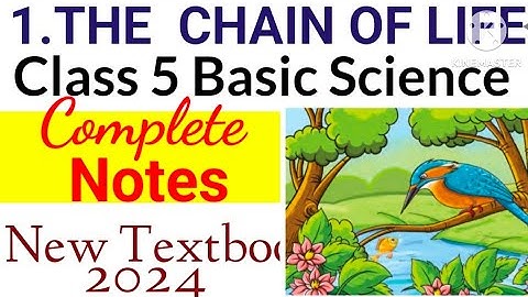 Class 5 New Basic Science Chapter 1 The chain of Life Full Notes|Class 5 New Basic Science Unit 1