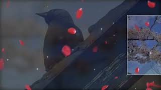 Ten Years After  Boogie On