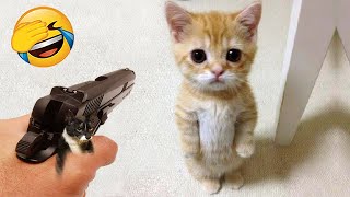 New Funny Videos 2024 😍 Cutest Cats and Dogs 🐱🐶 Part 60