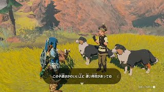 73 The Legend of Zelda: Tears of the Kingdom gameplay - YouTube