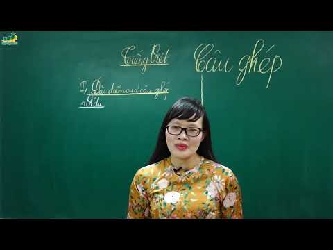 Video Ngữ Văn Lớp 8 - Bài giảng Câu ghép lớp 8 (tiết 1) | Cô... - youtube