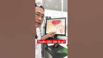 Tuyến tiền liệt là gì? #phongkhamthanhtri #bsnguyenduyhai #tuyentienliet