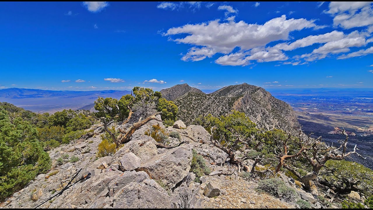 El Bastardo Peak | La Madre Mountains Wilderness, Nevada