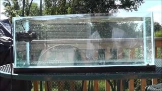 Jebao WP25 In Action - Review Demo