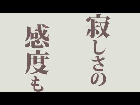 パメラ　【文字PV】AfterEffect