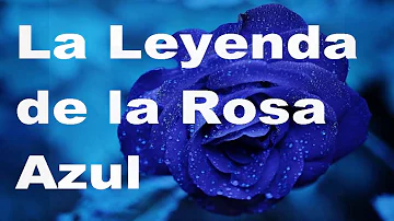 ¿Por qué no existen las rosas azules?