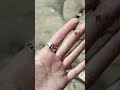 कैलिफोर्निया के बीचों पर काले टार का रहस्य [Black blobs mystery on Californian beaches]