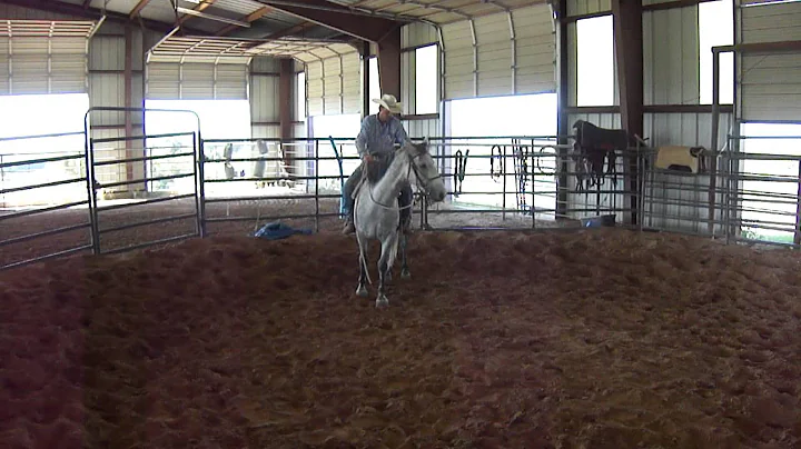 Smokey the Mustang - 1 Month in Training With Lann...