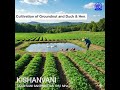 Cultivation of Groundnut and Duck & Hen 05 08 2025