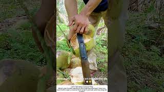 Stripping Coconut Husks with a Sharp Knife – Fast and Skilled Handwork 🥥🔪
