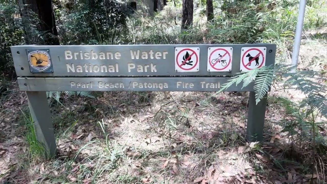 Australian Bush Walk - Pearl Beach / Patonga FireTrail (Brisbane Water National Park) 