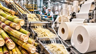 How Millions of Sugarcane Stalks Become Soft Toilet Paper | Full Factory Process screenshot 2