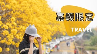 2020嘉義打卡秘境|全台最美「黃色風暴」太保市朴子溪南堤