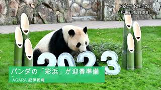 紀伊民報連載　ありがとうパンダ ありがとう！パンダファミリーこれからも、パンダたちと心