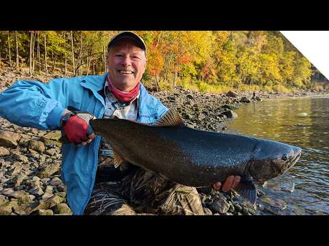 Shore fishing for Salmon - Stingeye Spinner