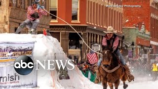 What is skijoring