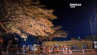 Story wa  Lirik Lagu Dangdut Cinta Hitam - Lusyana Jelita