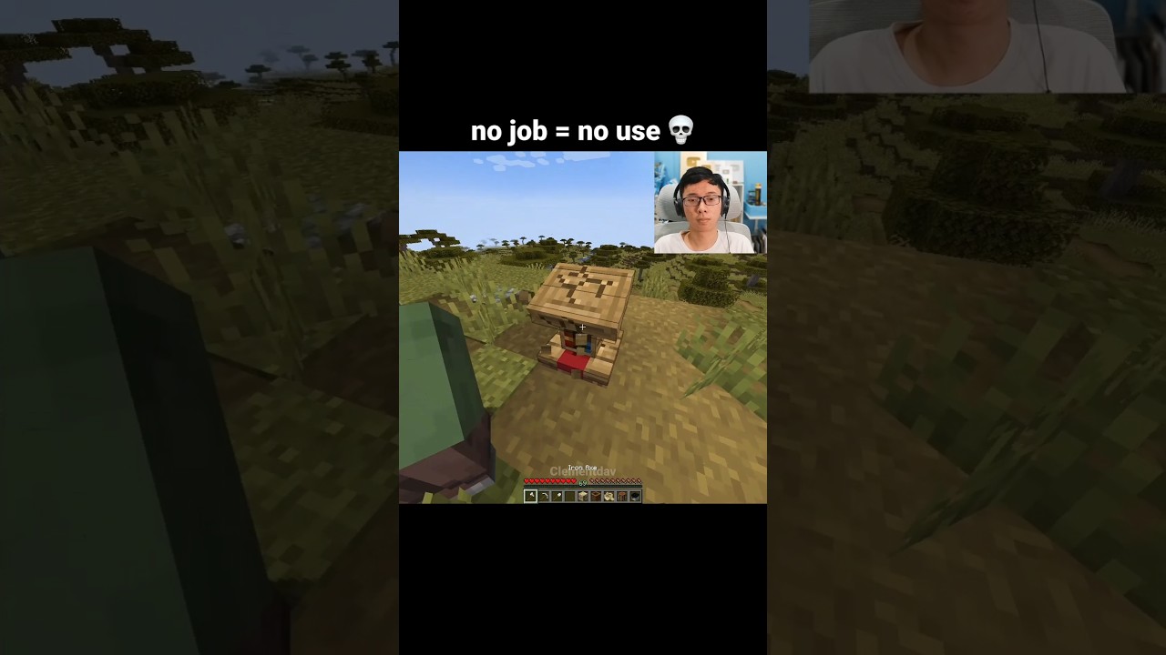 Minecraft Nitwit Villager Moment