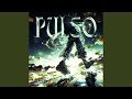 PULSO SLOWED