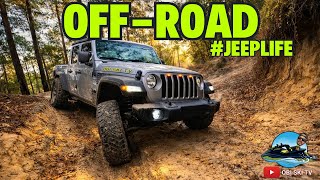 Wild Jeep Off-Roading Adventures in Citrus, Florida!