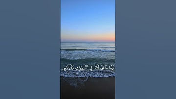 إِنَّ فِي اختِلافِ اللَّيلِ وَالنَّهارِ  - القارئ عبدالرحمن مسعد - سورة يونس