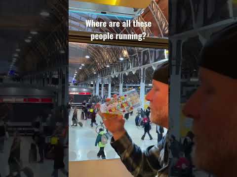 Paddington Station #london #tube #underground #train #trainspotting #travel #beer #ipa #running