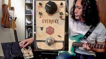 【OVERHIVE】Beetronics - Honey Dripping Overdrive