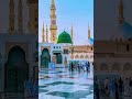 dara nabi par heart touching naat ❤️ #naat #hearttouching #trendingshorts #shorts