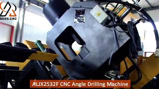 ALJX2532F Angle Drilling Machine