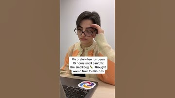 What happens when a programmer encounters a bug