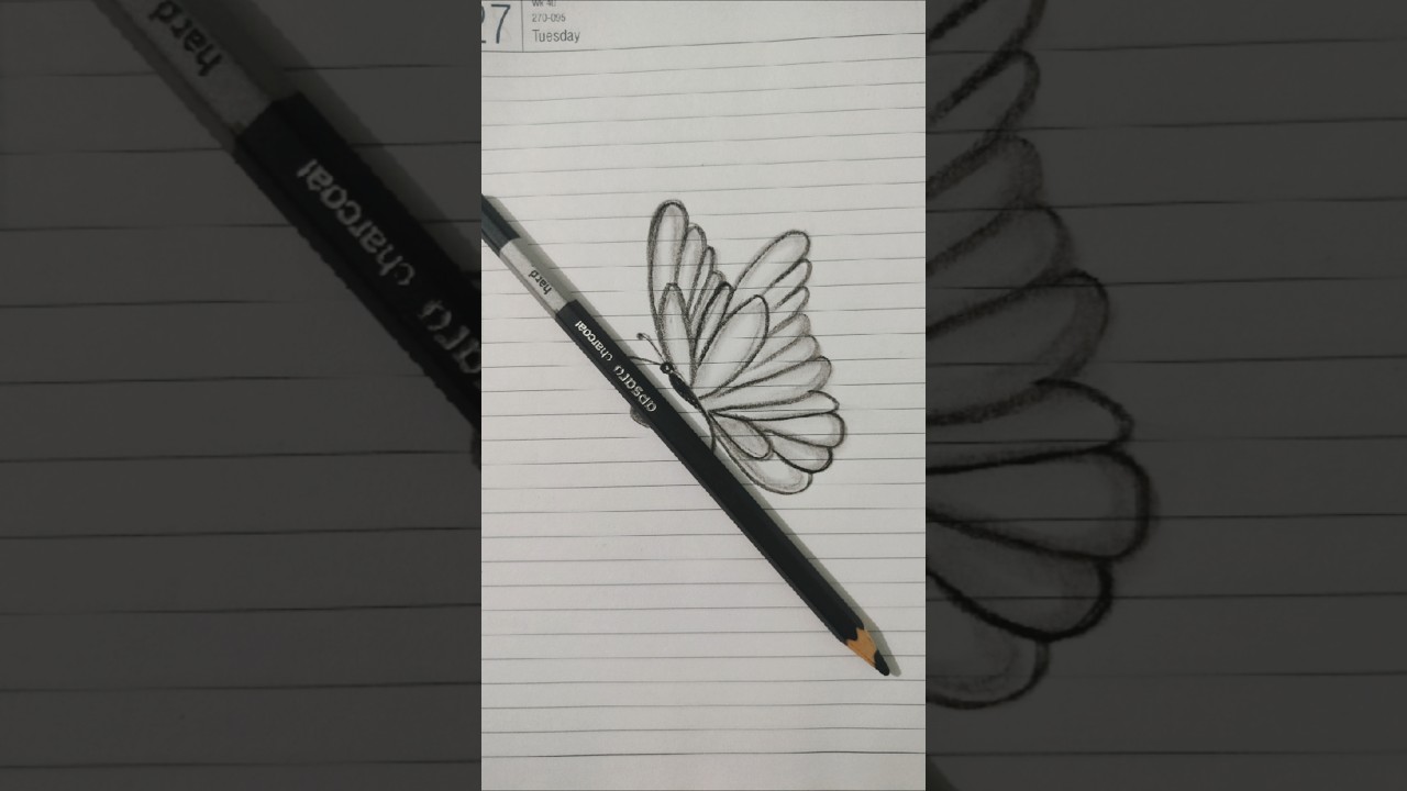 drawing for kids butterfly 🦋 