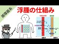 【完全版】浮腫の仕組み