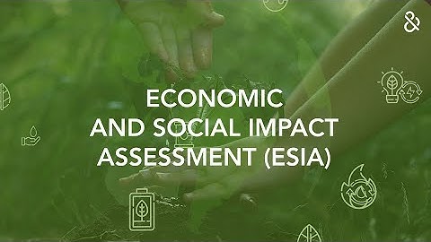 D&B Economic and Social Impact Assessment