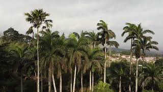 Aburi Ghana Dji Mini 2 Drone Footage