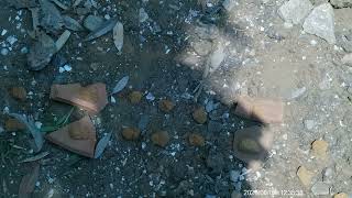 DSCF0004