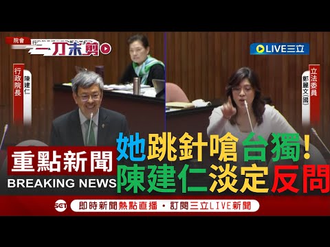 [一刀未剪]所以...? 鄭麗文質詢狂嗆"台獨"是民進黨假議題! 陳建仁淡定反問:那妳贊成台獨嗎?｜【焦點人物大現場】20230317｜三立新聞台