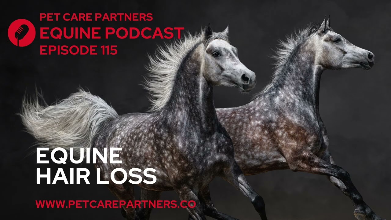 🐴 Equine Hair Loss Explained | Causes, Diagnosis & Care | Pet Care Partners Ep.115