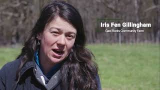 Farming With Trees: Case Studies