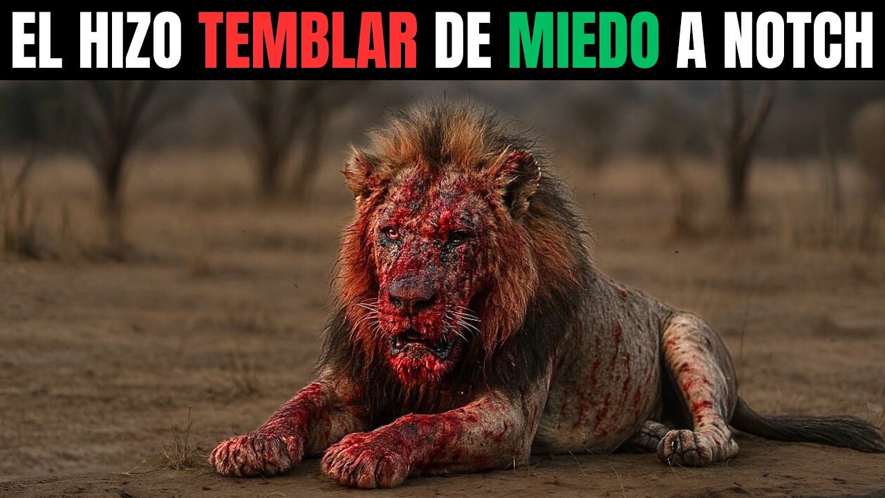 LEÓN – MAKARI: El GUERRERO que Desafió al DESTINO y Venció a NOTCH