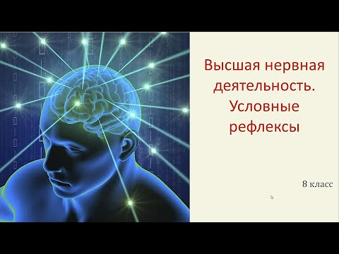 ВЫСШАЯ НЕРВНАЯ ДЕЯТЕЛЬНОСТЬ. Условные и безусловные рефлексы. Торможение условных рефлексов