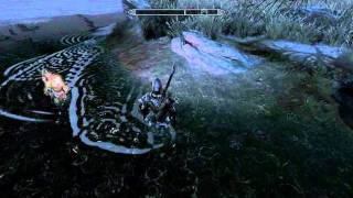 TESV water bug.avi
