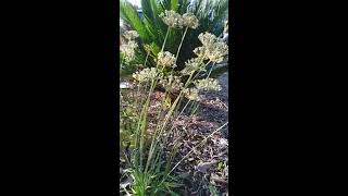 Comment Gagner De Largent Avec Lail A Tondre