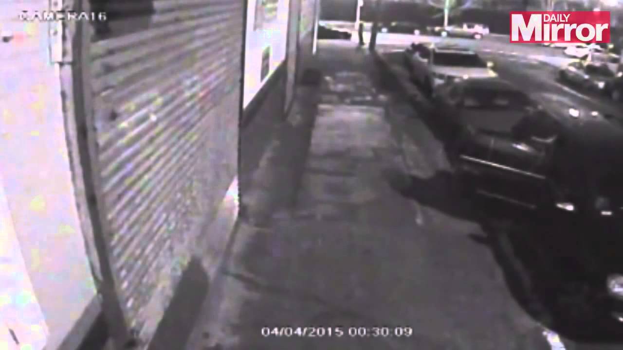 Watch This Video Shows the Horrifying Moment a Woman Was Attacked By a Tiger video Watch This Video Shows the Horrifying Moment a Woman Was Attacked By a Tiger video